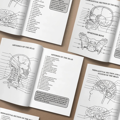 Human Anatomy Coloring Book: Body Systems Unlocked