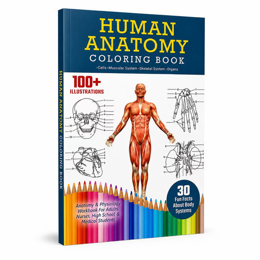 Human Anatomy Coloring Book: Body Systems Unlocked